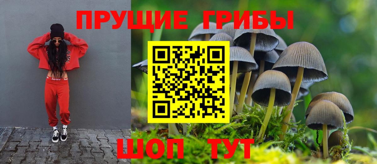 Галлюциногенные грибы прущие грибы  Вход с VPN  Партизанск  Псилоцибиновые грибы ЛСД 